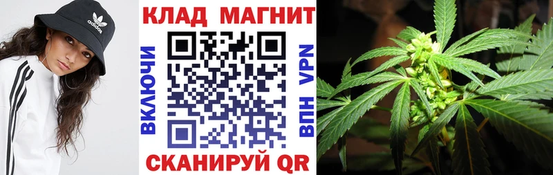 Где найти наркотики Вятские Поляны МЕТАМФЕТАМИН АМФЕТАМИН Гашиш APVP Мефедрон COCAIN Конопля