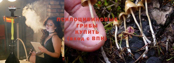 дмт Саяногорск