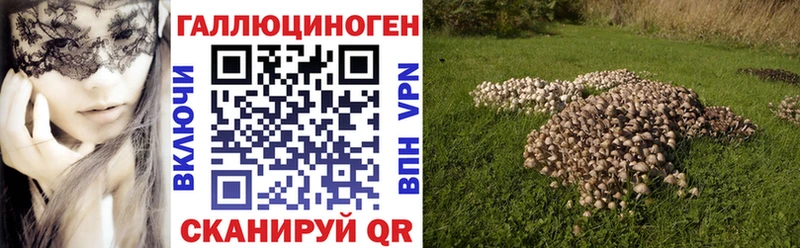Галлюциногенные грибы мицелий  где купить наркоту  Вятские Поляны 